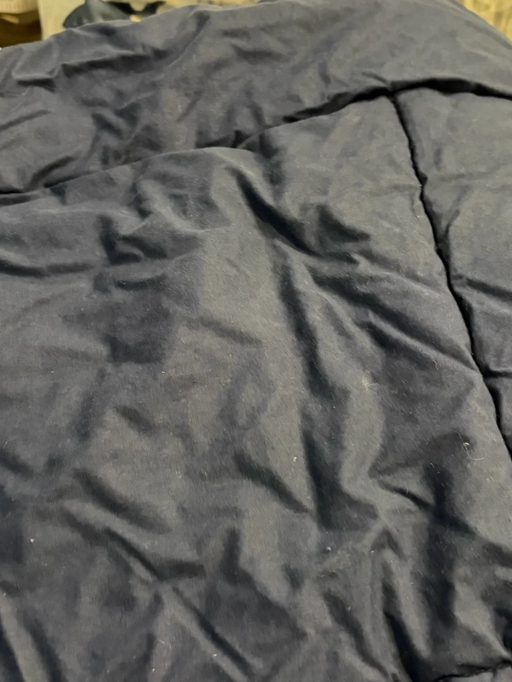 Pottery barn kids full sheet set and comforter in preppy shark print
